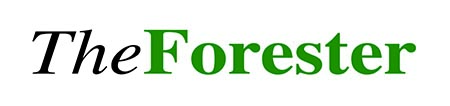 theforester.co.uk
