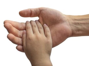 County council thanks foster carers at appreciation evening