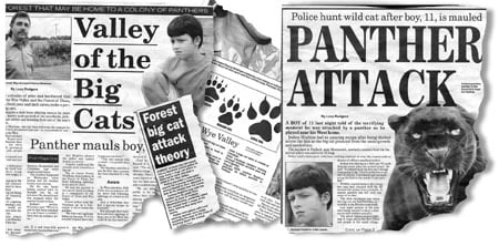 Our cat man Danny finds himself hunted by media