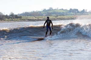 Forest View with Dave Kent