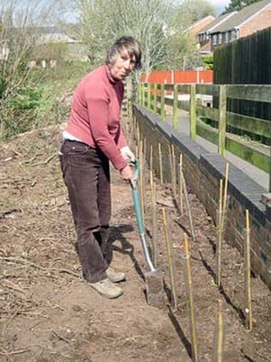 Pole has the hedge