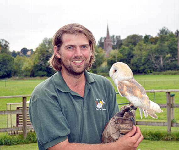 Swift action saves barn owl’s life