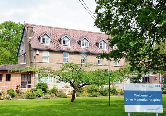 Forest View with Dave Kent