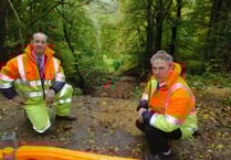 Repairing Cutting could cost £150k