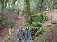 Ray's hopes for woodland wonderland