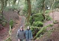 Ray's hopes for woodland wonderland