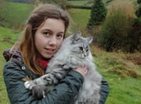Pet cat ran for its life as hounds gave chase