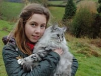 Pet cat ran for its life as hounds gave chase