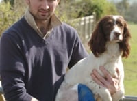 Dog break leg in boar attack