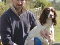 Dog break leg in boar attack
