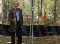 Police clear disgraced councillor over crested newt row