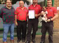 Forest of Dean wardens have the Midas touch