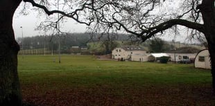 Plans for Forest's first artificial rugby pitch back on track
