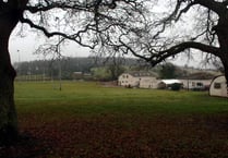 Plans for Forest's first artificial rugby pitch back on track