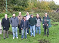 Wild boar wreak havoc at Forest of Dean beauty spot