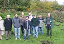 Wild boar wreak havoc at Forest of Dean beauty spot