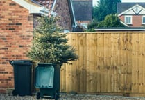 Christmas trees can be recycled at the kerbside in the Forest of Dean