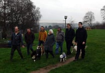 Primrose Hill Mesne play area still in danger of boar damage