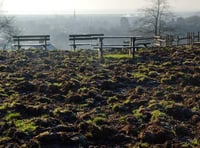 Forest of Dean authorities called to account over wild boar damage