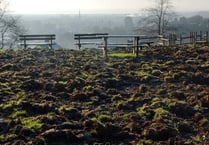 Forest of Dean authorities called to account over wild boar damage