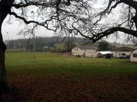 Forest to miss out on £850,000 investment from RFU into artificial pitch