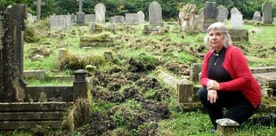 Wild boar devastate Parkend church graveyard - again
