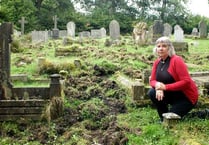 Wild boar devastate Parkend church graveyard - again