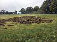 Boar stop play at Yorkley