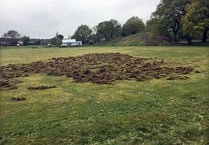 Boar stop play at Yorkley