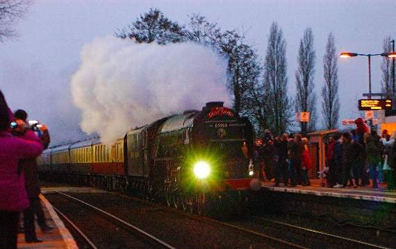 Forest View with Dave Kent