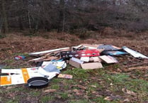 Beauty spot flytipper was tracked down and fined £400