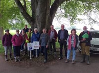 Step forward for walking festival