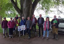Step forward for walking festival