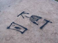 Skatepark hit by vandals