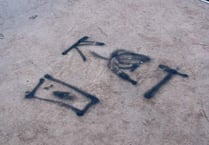 Skatepark hit by vandals