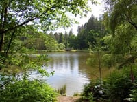 Forestry England shuts down recreation facilities