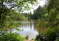 Forestry England shuts down recreation facilities