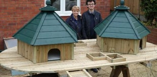 Floating duck platform launched