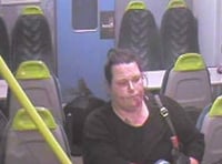 Woman sentenced to life after train attack on Wye Valley line