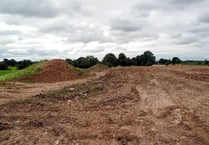 Forest farmers dig themselves into trouble