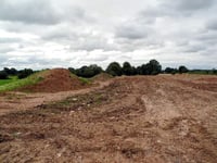 Forest farmers dig themselves into trouble