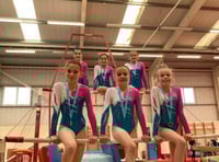 Bronze medals for Forest of Dean gymnasts