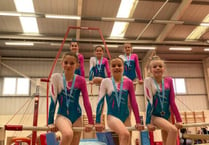 Bronze medals for Forest of Dean gymnasts