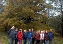 The Square could become a wildlife sanctuary