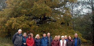 The Square could become a wildlife sanctuary