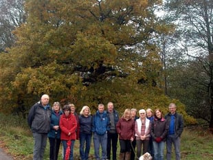 The Square could become a wildlife sanctuary