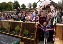 Outdoor classroom has multiple uses