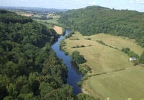 New tool shows the Forest of Dean's carbon footprint
