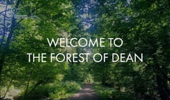 New experience explores the sounds of the Forest