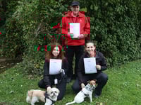 Street wardens rated gold for animal welfare